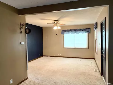 613 19th Ave, Fulton, IL 61252 photo 7