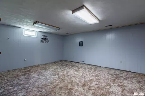 501 9th Avenue Ct, Hampton, IL 61256 photo 28