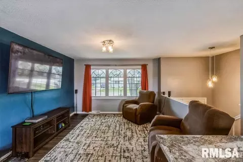 1119 Norlawn Dr, Viola, IL 61486 photo 4