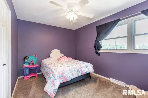 1119 Norlawn Dr, Viola, IL 61486 photo 10