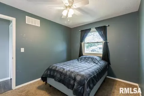 1119 Norlawn Dr, Viola, IL 61486 photo 11