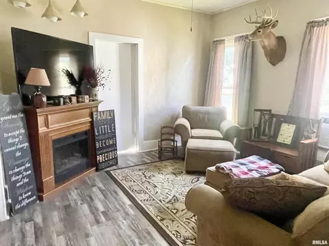 102 W D St, Alpha, IL 61413 photo 15