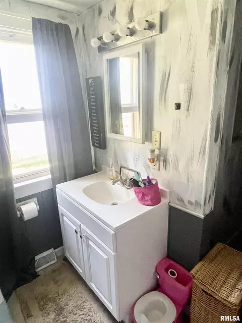 102 W D St, Alpha, IL 61413 photo 20