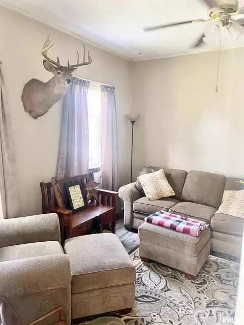 102 W D St, Alpha, IL 61413 photo 17