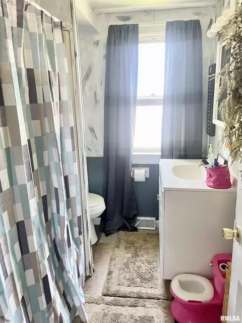 102 W D St, Alpha, IL 61413 photo 18