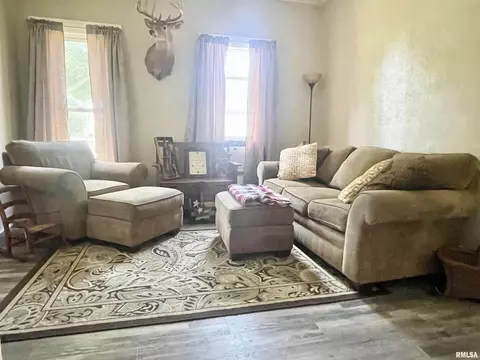 102 W D St, Alpha, IL 61413 photo 16