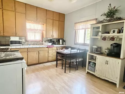 102 W D St, Alpha, IL 61413 photo 13
