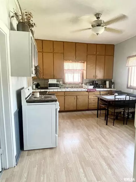 102 W D St, Alpha, IL 61413 photo 14
