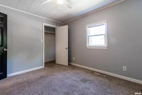 1102 Lickliter St, Benton, IL 62812 photo 16