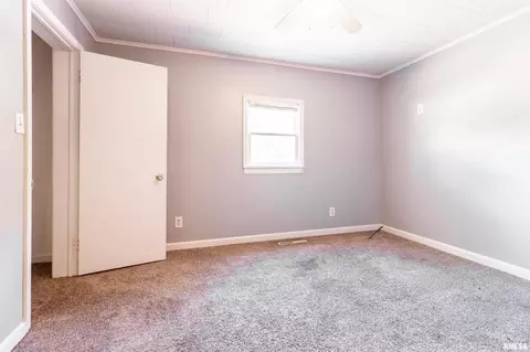 1102 Lickliter St, Benton, IL 62812 photo 17