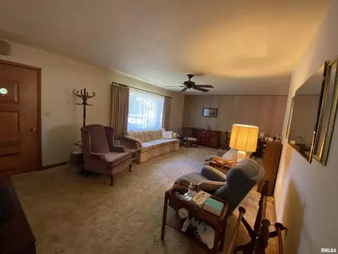 808 Hilldale Ave, Herrin, IL 62948 photo 7