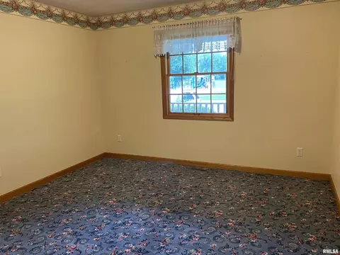 116 N 3rd St, Cambridge, IL 61238 photo 23