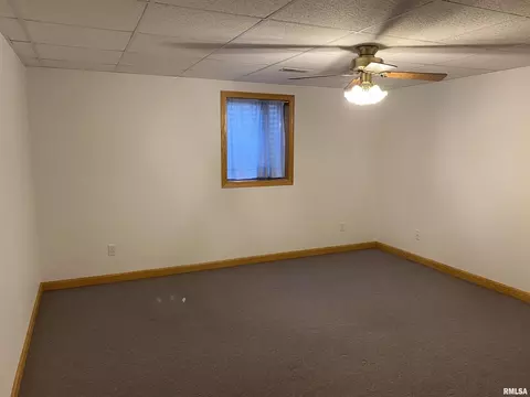 116 N 3rd St, Cambridge, IL 61238 photo 29