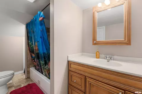 1408 13th St, Viola, IL 61486 photo 20