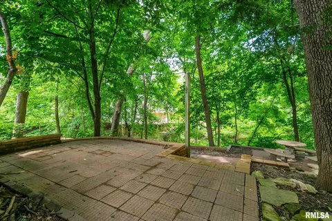 2951 15th Ave, Moline, IL 61265 photo 30