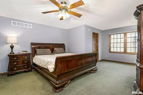 408 S 9th Ave, Eldridge, IA 52748 photo 19