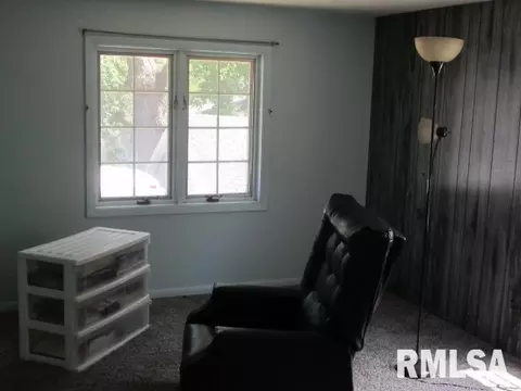 602 7th Ave, Fulton, IL 61252 photo 9