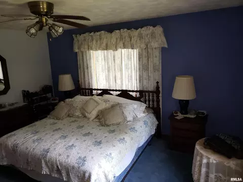 104 E 1st St, Sherrard, IL 61281 photo 22