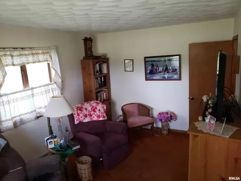 104 E 1st St, Sherrard, IL 61281 photo 26