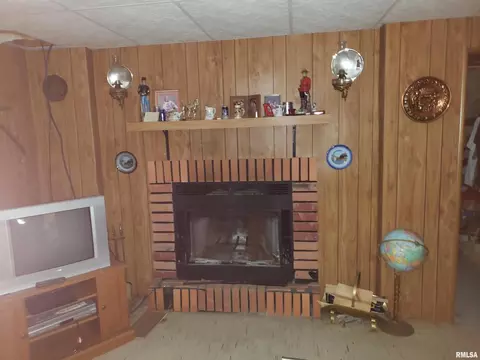 104 E 1st St, Sherrard, IL 61281 photo 27