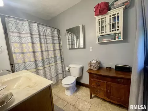 3669 Scenic Bluff Rd, Thomson, IL 61285 photo 2