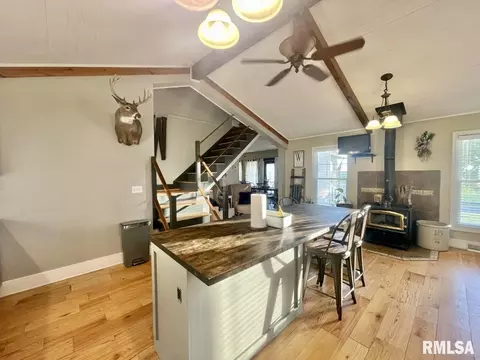 3669 Scenic Bluff Rd, Thomson, IL 61285 photo 41