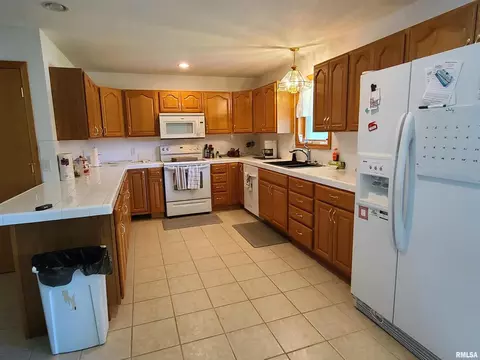 15291 Ebson Rd, Fulton, IL 61252 photo 4