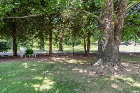13317 Davidson Rd, Marion, IL 62959 photo 22
