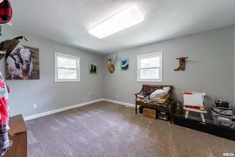 13317 Davidson Rd, Marion, IL 62959 photo 13