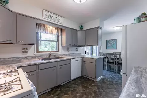 1107 6th Ave, Silvis, IL 61282 photo 9