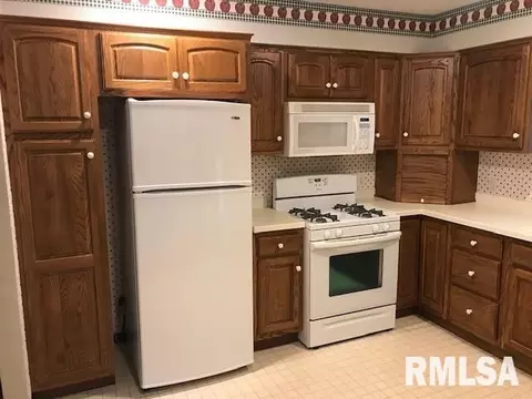 204 Causemaker Dr, Atkinson, IL 61235 photo 9