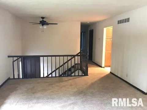 204 Causemaker Dr, Atkinson, IL 61235 photo 5