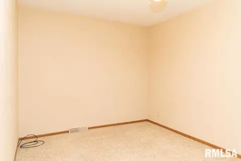 212 1st Ave, Hampton, IL 61256 photo 17
