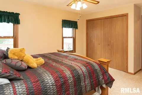 212 1st Ave, Hampton, IL 61256 photo 20