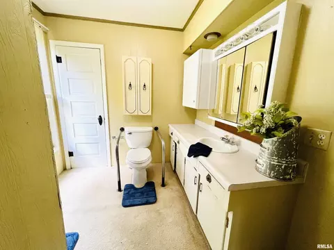 1582 100th St, Joy, IL 61260 photo 12