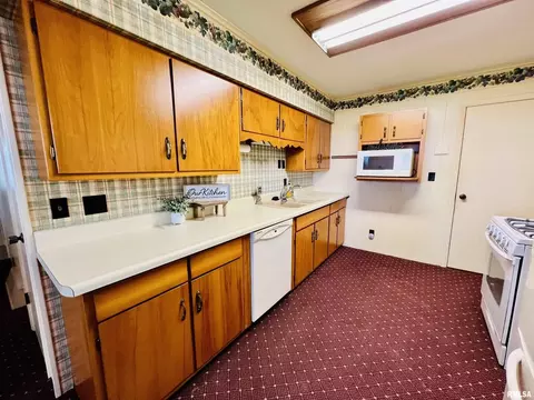 1582 100th St, Joy, IL 61260 photo 11