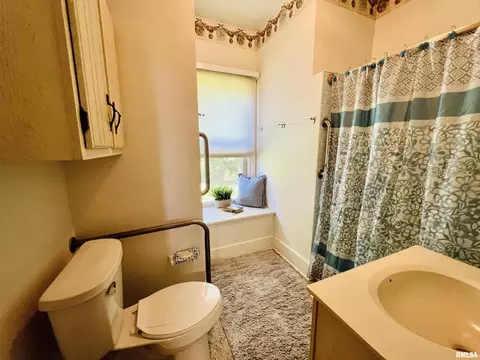 1582 100th St, Joy, IL 61260 photo 14