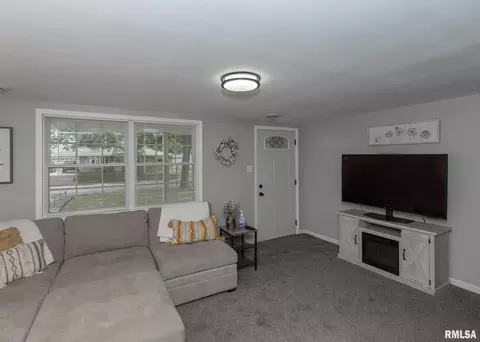628 13th Ave, Hampton, IL 61256 photo 15