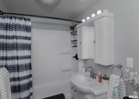 628 13th Ave, Hampton, IL 61256 photo 20