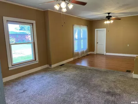 611 E Florence St, Sesser, IL 62884 photo 14