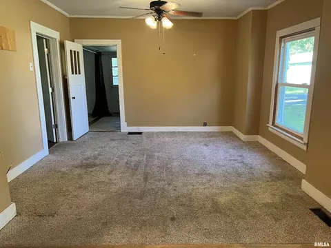 611 E Florence St, Sesser, IL 62884 photo 11
