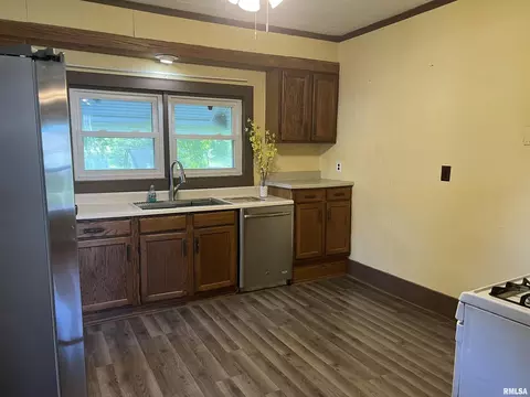 611 E Florence St, Sesser, IL 62884 photo 16