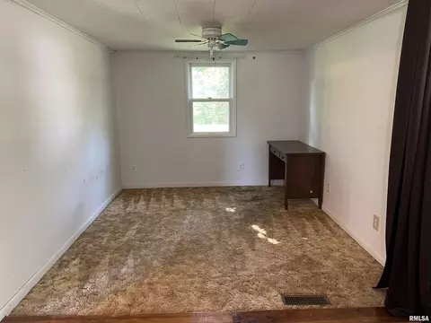 611 E Florence St, Sesser, IL 62884 photo 24