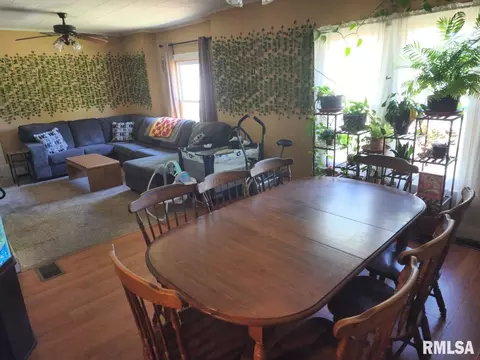 611 E Florence St, Sesser, IL 62884 photo 37