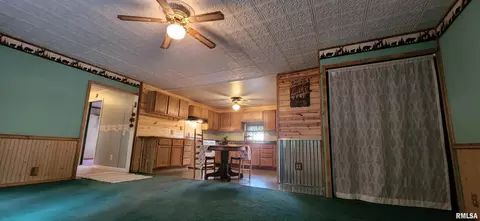 110 W Jackson St, Joy, IL 61260 photo 9