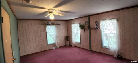 110 W Jackson St, Joy, IL 61260 photo 5