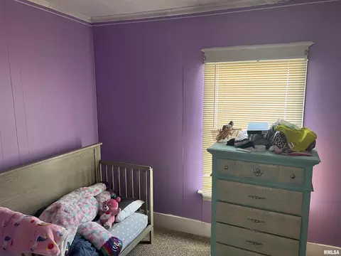 608 13th Ave, Fulton, IL 61252 photo 17