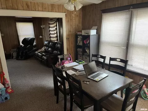 608 13th Ave, Fulton, IL 61252 photo 19