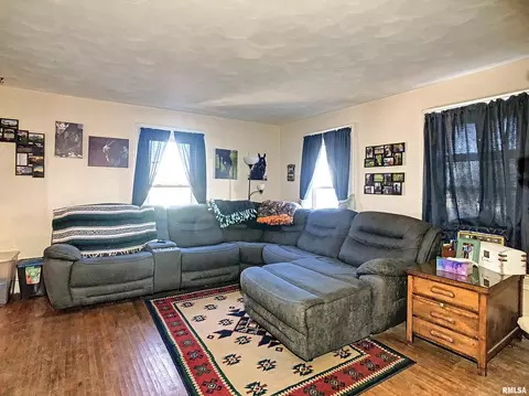 15237 E 1700 St, Geneseo, IL 61254 photo 4
