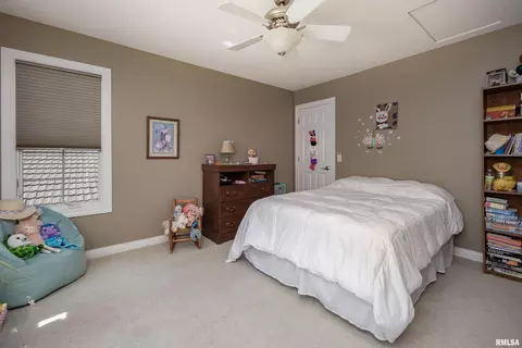 104 9th St, Hampton, IL 61256 photo 34